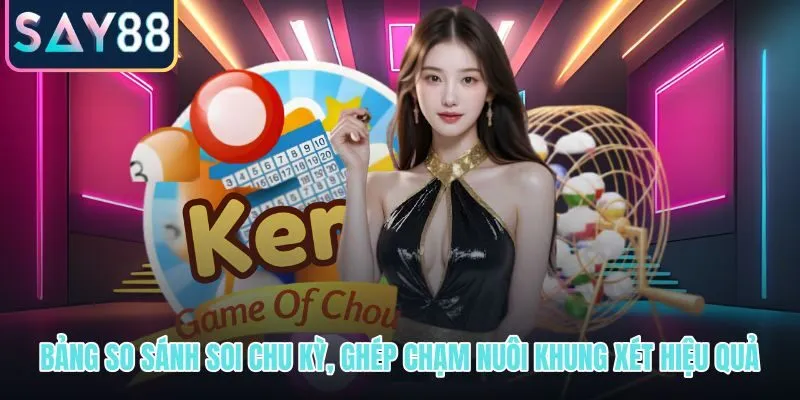 Ba tầng xử lý tín hiệu từ soi chu kỳ đến nuôi khung