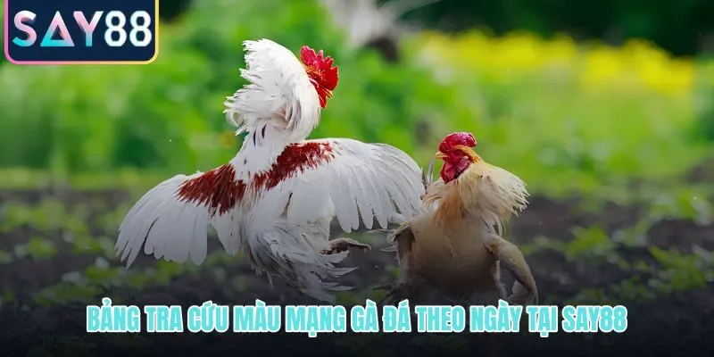 Bảng tra cứu xem mạng gà đá theo ngày với ba mức sắc lông
