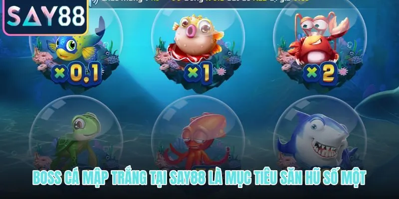 Săn cá mập trắng nhận hũ - boss hũ Jackpot số một tại SAY88