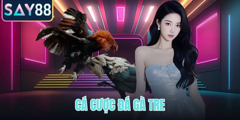 Cá cược đá gà tre