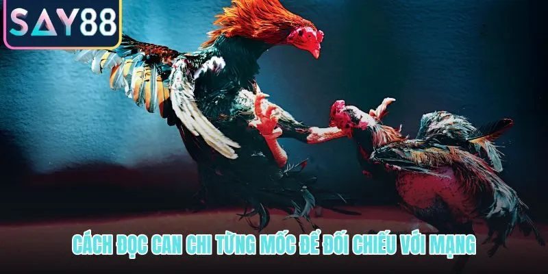 Đọc can chi từng mốc lịch để ghép đúng mạng chiến kê