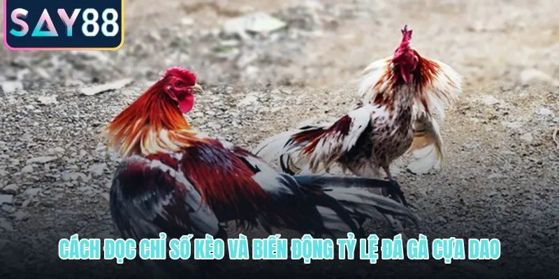 Chỉ số kèo cựa dao và dòng tiền trước giờ đấu tại SAY88
