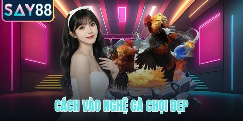 Cách vào nghệ gà chọi đẹp