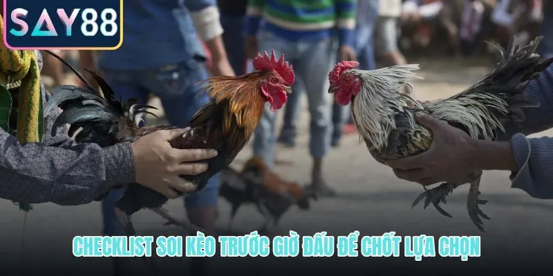 Bộ lọc soi kèo cựa dao trước giờ đấu tại SAY88