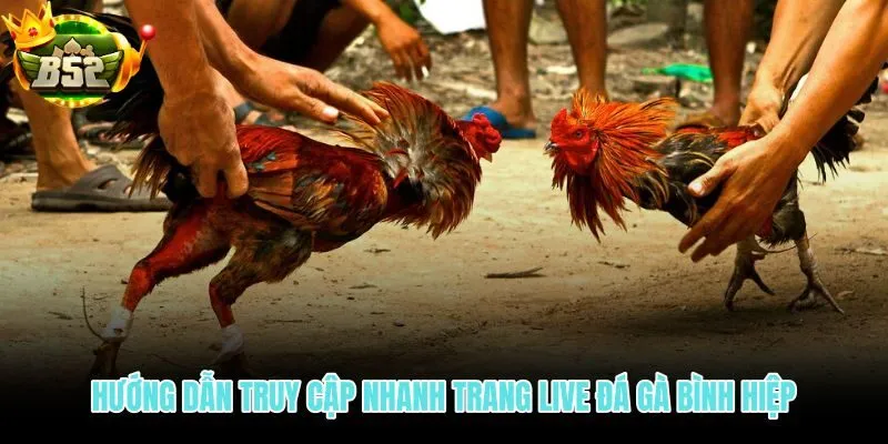 Các bước truy cập trực tiếp đá gà Bình Hiệp nhanh và gọn trên SAY88