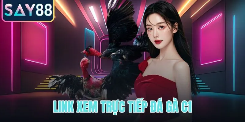 Link xem trực tiếp đá gà C1