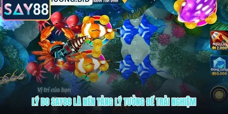 SAY88 với giao diện mượt và bảo mật tài khoản rõ ràng cho ngư thủ