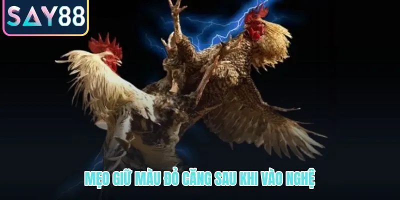 Chăm bề mặt sau bôi để sắc đỏ bền và không bị xỉn
