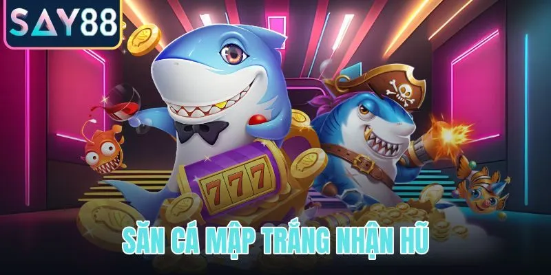 Săn cá mập trắng nhận hũ