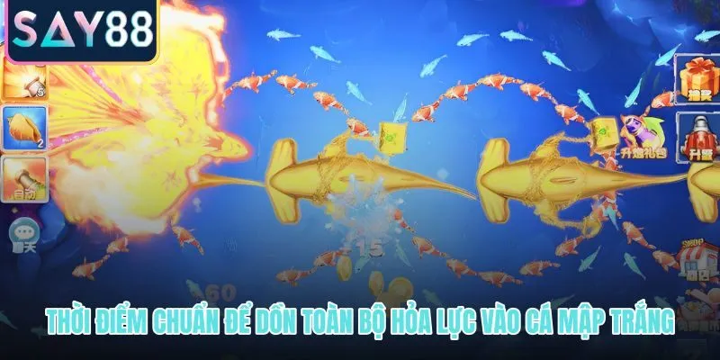 Lựa chọn thời điểm chuẩ khai hoả lực