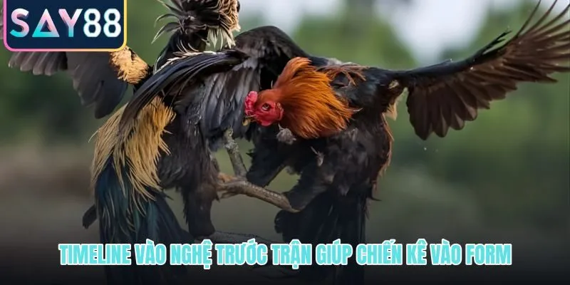 Lịch bôi nghệ trước trận giữ sắc đỏ căng và bề mặt ổn định