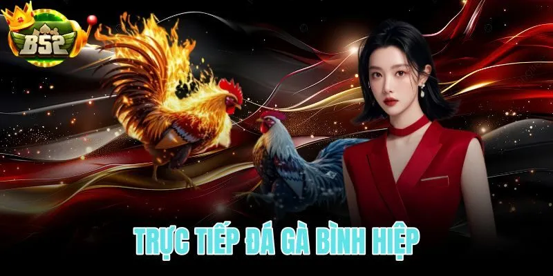 Trực tiếp đá gà Bình Hiệp