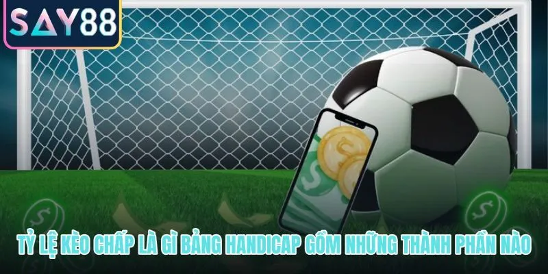 Xem tỷ lệ kèo chấp qua mốc handicap và giá ăn trên bảng odds