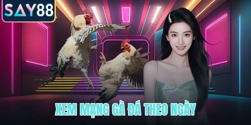 Xem mạng gà đá theo ngày